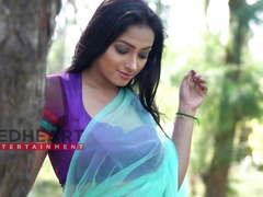 Aranye Saree Shreemoyee  Sky Color Saree